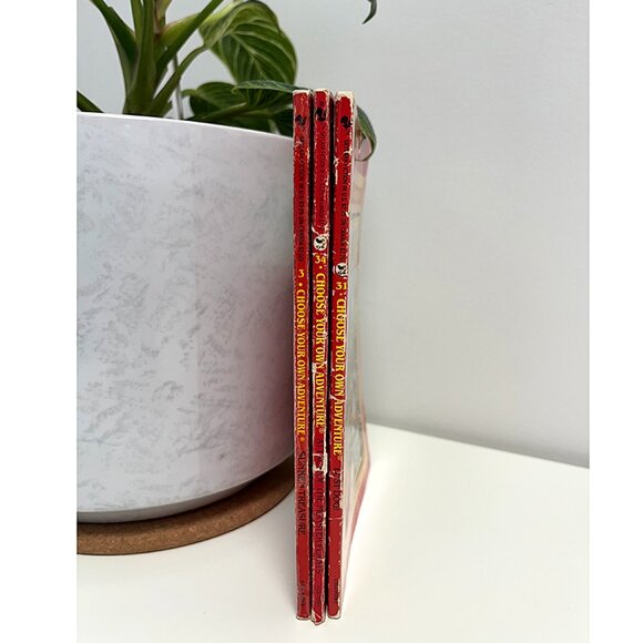 Choose Your Own Adventure Book Bundle: Books #3, 31 & 34 - Reader Level 2 - Picture 3 of 4